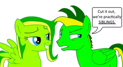 Size: 1024x558 | Tagged: safe, artist:didgereethebrony, derpibooru import, oc, oc:boomerang beauty, oc:didgeree, unofficial characters only, pegasus, pony, boomeree, dialogue, siblings, simple background, speech bubble, transparent background