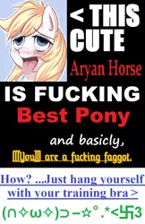 Size: 840x1300 | Tagged: safe, artist:anonymous, derpibooru import, edit, oc, oc:aryanne, unofficial characters only, (∩✧ω✧)⊃━☆ﾟ.*<卐3, advertisement, aryan pony, blackletter, blushing, drool, extreme advertising, face, kill yourself, kys, nazi, porn ads, swastika, text, tongue out, vulgar