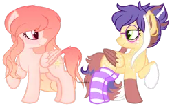 Size: 1024x630 | Tagged: safe, artist:venomns, derpibooru import, oc, oc:amber, oc:cookie, unofficial characters only, pegasus, pony, clothes, colored wings, female, glasses, mare, multicolored wings, simple background, socks, striped socks, transparent background