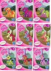 Size: 1573x2172 | Tagged: blind bag, bumblesweet, card, cherry spices, daisy, derpibooru import, fizzypop, flower wishes, irl, lemon hearts, merchandise, pepperdance, photo, recolor, roseluck, safe, sweetie blue, sweetie swirl, toy