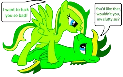 Size: 711x443 | Tagged: artist:didgereethebrony, bedroom eyes, boomeree, brother and sister, derpibooru import, dialogue, female, imminent sex, incest, looking at each other, male, oc, oc:boomerang beauty, oc:didgeree, pinned down, pony creator, simple background, suggestive, transparent background, unofficial characters only