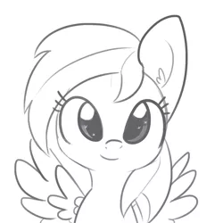 Size: 1650x1650 | Tagged: safe, artist:tjpones, derpibooru import, rainbow dash, pegasus, pony, cute, dashabetes, ear fluff, female, grayscale, looking at you, mare, monochrome, simple background, sketch, solo, starry eyes, white background, wingding eyes