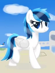 Size: 1043x1379 | Tagged: safe, artist:lywings, derpibooru import, ponified, pegasus, pony, china southern airlines, female, mare, solo