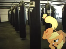 Size: 1600x1200 | Tagged: safe, artist:hachaosagent, artist:theaceofspadez, derpibooru import, applejack, earth pony, pony, female, irl, kicking, mare, photo, ponies in real life, punching bag, solo, vector