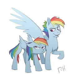 Size: 600x630 | Tagged: safe, artist:bypenandhoof, derpibooru import, rainbow dash, pegasus, pony, female, frown, male, rainbow blitz, raised hoof, rule 63, self ponidox, simple background, white background