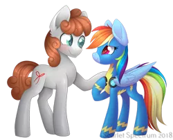 Size: 1308x1058 | Tagged: safe, artist:scarlet-spectrum, derpibooru import, rainbow dash, oc, oc:dreamer, earth pony, pegasus, pony, blushing, canon x oc, clothes, female, goggles, height difference, looking at each other, mare, multicolored hair, rainmer, raised hoof, simple background, smiling, transparent background, uniform, wonderbolts uniform