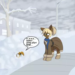 Size: 2000x2000 | Tagged: safe, artist:silverfox057, derpibooru import, oc, oc:silverblaze, oc:twix, unofficial characters only, earth pony, pony, boots, building, clothes, coat, cold, dialogue, female, freezing, lamppost, male, mare, scarf, shivering, shoes, snow, speech bubble, stallion, tree