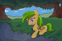 Size: 1003x668 | Tagged: safe, artist:ijustloveit619, artist:thistledsky, derpibooru import, oc, oc:gold star, unofficial characters only, pegasus, pony, amputee, reflection, river, solo, tree