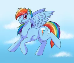 Size: 1280x1088 | Tagged: safe, artist:jenery, derpibooru import, rainbow dash, pegasus, pony, cloud, female, looking at you, mare, sky, solo