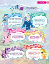 Size: 1561x2048 | Tagged: applejack, cantonese, chinese text, derpibooru import, equestria, fluttershy, hong kong, my little pony: the movie, name translation, official, princess cadance, princess celestia, princess luna, rainbow dash, safe, stock vector, twilight sparkle