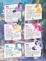 Size: 1556x2048 | Tagged: alicorn, applejack, chinese text, derpibooru import, fluttershy, hong kong, mane six, name translation, pinkie pie, rainbow dash, rarity, safe, twilight sparkle, twilight sparkle (alicorn)