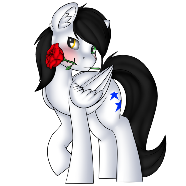 Size: 1771x1771 | Tagged: safe, artist:xcinnamon-twistx, derpibooru import, oc, oc:first choice, unofficial characters only, pegasus, pony, flower, fullbody, heterochromia, holiday, male, rose, simple background, smiling, solo, transparent background, valentine, valentine's day