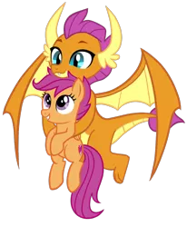 Size: 1008x1224 | Tagged: safe, artist:thecheeseburger, derpibooru import, scootaloo, smolder, dragon, pony, school daze, season 8, carrying, cute, cutealoo, dragoness, duo, fangs, female, filly, flying, grin, holding a pony, looking up, similarities, simple background, smiling, smolderbetes, spoiler, spread wings, transparent background, vector, wings