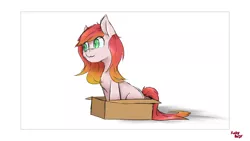 Size: 2304x1296 | Tagged: safe, artist:ruby dusk, derpibooru import, oc, oc:ruby dusk, unofficial characters only, pony, box, catface, pony in a box, solo