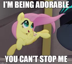 Size: 561x499 | Tagged: safe, derpibooru import, edit, edited screencap, screencap, fluttershy, pegasus, pony, my little pony: the movie, and nopony can stop me, cropped, cute, female, image macro, mare, meme, shyabetes, solo focus