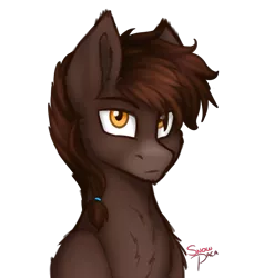 Size: 733x801 | Tagged: safe, artist:snowpaca, derpibooru import, oc, oc:jokul, unofficial characters only, pony, alternate hairstyle, draft horse, fluffy, male, simple background, solo, stallion, strong, transparent background