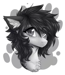 Size: 1024x1184 | Tagged: safe, artist:monogy, derpibooru import, oc, oc:monogy, unofficial characters only, pony, chest fluff, monochrome, simple background, solo, transparent background
