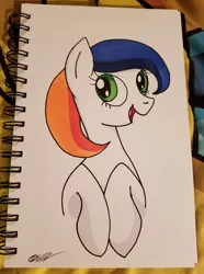 Size: 1072x1440 | Tagged: safe, artist:wolftendragon, derpibooru import, oc, oc:sud scrubber, oc:tide pod, ponified, food pony, pony, bust, female, happy, mare, portrait, signature, solo, tide pods, tide pony, traditional art
