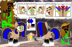 Size: 1054x686 | Tagged: safe, artist:latiapainting, derpibooru import, oc, oc:painting cincel, unofficial characters only, pegasus, pony, danger, female, glue, glue factory, ink, original character do not steal, radioactive, reference, reference sheet, solo, thick eyebrows, tricolor wings