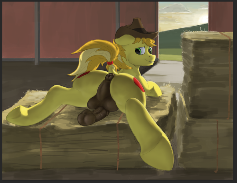 Size: 1475x1141 | Tagged: explicit, artist:nock, derpibooru import, braeburn, earth pony, pony, 180 penis, anus, backlighting, backsack, balls, barn, cowboy hat, dark genitals, dock, erection, hat, hay bale, horsecock, looking back, lying down, male, nudity, penis, plot, raised tail, rear view, solo, solo male, stallion, tail, tail wrap, taint, underhoof