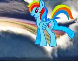 Size: 900x703 | Tagged: safe, artist:leandrovalhalla, derpibooru import, rainbow dash, pony, loyalty, needs more jpeg, solo