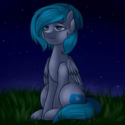 Size: 2160x2160 | Tagged: safe, artist:romablueberry, derpibooru import, oc, unofficial characters only, pegasus, pony, grass, lidded eyes, night, sitting, solo, stars