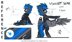 Size: 4208x2480 | Tagged: suggestive, artist:justafallingstar, derpibooru import, oc, oc:vibrant star, unofficial characters only, earth pony, pony, artificial wings, augmentation, augmented, black underwear, clothes, collar, colt, detached sleeves, facial hair, hoodie, image, looking at you, male, mechanical wing, panties, png, reference, reference sheet, sitting, socks, solo, solo male, stallion, standing, underwear, wings
