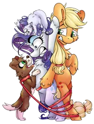 Size: 3749x4961 | Tagged: safe, artist:cutepencilcase, derpibooru import, applejack, opalescence, rarity, winona, cat, dog, earth pony, pony, unicorn, bipedal, bondage, bound together, cute, female, fluffy, horn, leash, mare, silly, silly pony, simple background, standing, tangled up, tied up, transparent background, unsexy bondage