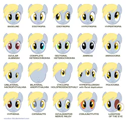 Size: 787x750 | Tagged: safe, artist:voodoo-tiki, derpibooru import, derpy hooves, pony, albino, cataracts, chart, conjunctivitis, eye, eye scream, eyes, heterochromia, hypertelorism, medical condition, no eyes, pink eye, polycoria