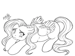Size: 1000x750 | Tagged: safe, artist:dslycaon, derpibooru import, fluttershy, pegasus, pony, black and white, blushing, female, floppy ears, grayscale, lineart, looking at you, looking sideways, looking up, mare, missing cutie mark, monochrome, prone, simple background, solo, white background, wings