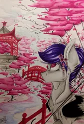 Size: 1024x1516 | Tagged: safe, artist:scootiegp, derpibooru import, oc, unofficial characters only, pegasus, pony, cherry, female, fence, flower, flower in hair, food, japan, japanese, looking up, river, signature, solo, stairs, stone, traditional art, tree, umbrella, water