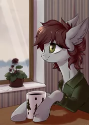 Size: 2894x4093 | Tagged: safe, artist:vincher, derpibooru import, oc, unofficial characters only, pony, brown mane, clothes, cloths, ear fluff, gray coat, green eyes, mug, plant, shirt, smiling, solo, window