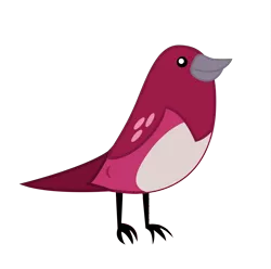 Size: 3000x2979 | Tagged: animal, artist:korikian, bird, derpibooru import, house finch, safe, simple background, solo, transparent background, vector