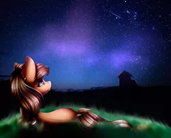 Size: 1024x829 | Tagged: safe, artist:xxmissteaxx, derpibooru import, applejack, earth pony, pony, barn, female, grass, looking up, mare, night, night sky, sky, solo, starry night, stars