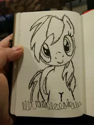 Size: 3456x4608 | Tagged: artist:penguin_lover89, cute, derpibooru import, lined paper, notebook, rainbow dash, safe, sharpie, traditional art