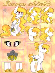 Size: 2832x3776 | Tagged: artist needed, safe, derpibooru import, oc, oc:storm shield, unofficial characters only, pegasus, pony, horse shoes, reference sheet, solo