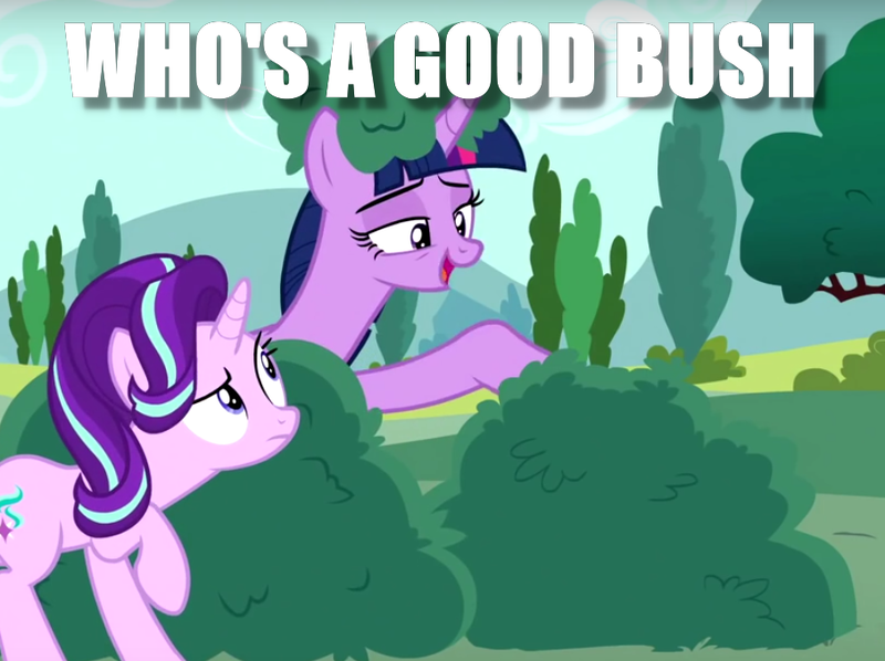 Size: 907x678 | Tagged: safe, derpibooru import, edit, edited screencap, screencap, starlight glimmer, twilight sparkle, twilight sparkle (alicorn), alicorn, pony, unicorn, no second prances, bush, bushanka, bushicorn, female, image macro, lidded eyes, mare, meme, petting, twilight bushel