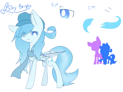 Size: 1024x768 | Tagged: safe, artist:jisuppe, derpibooru import, oc, oc:sky bright, unofficial characters only, pegasus, pony, clothes, female, hat, mare, reference sheet, scarf, simple background, solo, transparent background