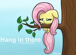 Size: 1024x741 | Tagged: safe, artist:mimicproductions, derpibooru import, fluttershy, pegasus, pony, chibi, cute, female, hang in there, hanging, mare, shyabetes, solo, tree, tree branch