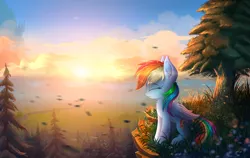 Size: 5000x3167 | Tagged: safe, artist:atlas-66, derpibooru import, rainbow dash, pegasus, pony, absurd resolution, canterlot, cliff, cloud, cute, dashabetes, eyes closed, female, forest, mare, outdoors, profile, scenery, sitting, smiling, solo, sun, tree