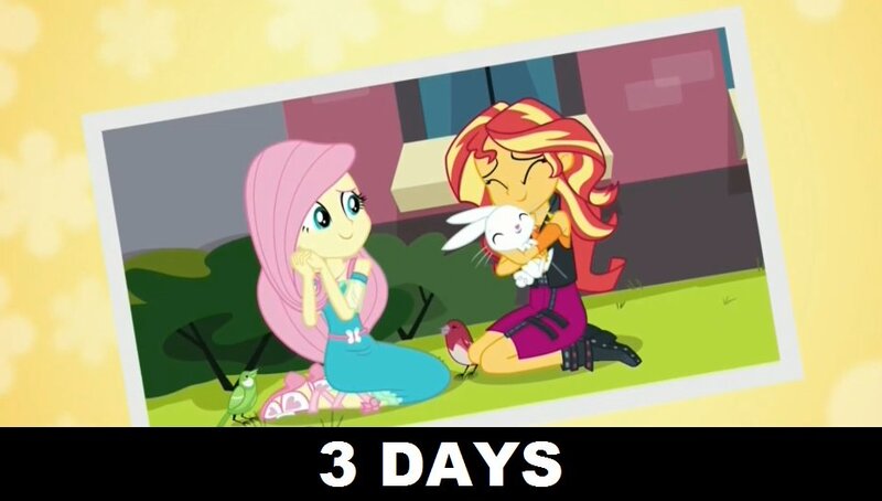 Size: 933x529 | Tagged: safe, derpibooru import, screencap, angel bunny, fluttershy, sunset shimmer, bird, equestria girls, equestria girls series, forgotten friendship, angelbetes, countdown, cute, lucky bastard, photo, shimmerbetes, shyabetes, trio