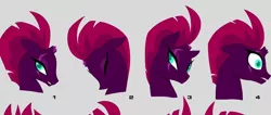 Size: 1694x720 | Tagged: broken horn, bust, concept art, derpibooru import, expressions, eye scar, eyes closed, fizzlepop berrytwist, my little pony: the movie, portrait, safe, scar, tempest shadow, youtube link