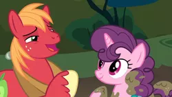 Size: 1280x720 | Tagged: safe, derpibooru import, screencap, big macintosh, sugar belle, earth pony, pony, unicorn, season 8, the break up breakdown, duo, female, male, mare, mud, muddy, shipping, smiling, stallion, straight, sugarmac