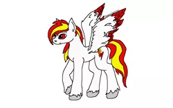 Size: 6400x4000 | Tagged: safe, anonymous artist, derpibooru import, oc, oc:fiery lightning, unofficial characters only, pony, colored wings, colored wingtips, simple background, solo, unshorn fetlocks, white background