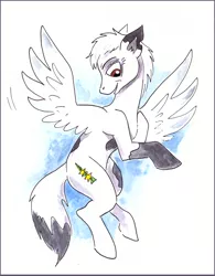 Size: 700x898 | Tagged: safe, artist:veda, derpibooru import, oc, ponified, unofficial characters only, pegasus, pony, furryguys, simple background, solo, traditional art, watercolor painting