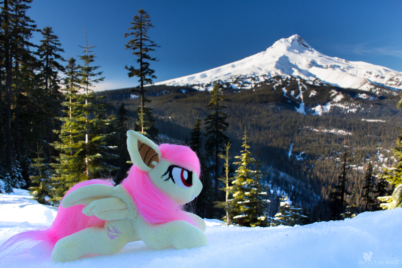 Size: 4912x3275 | Tagged: safe, artist:lanacraft, artist:natureshy, derpibooru import, fluttershy, bat pony, pony, angry, equestria: into the wild, flutterbat, irl, mountain, nature, oregon, outdoors, photo, plushie, race swap, snow, winter