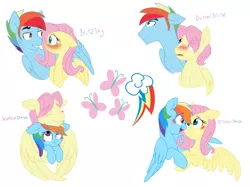 Size: 3785x2825 | Tagged: safe, artist:chub-wub, derpibooru import, fluttershy, rainbow dash, pegasus, pony, blushing, butterblitz, butterdash, butterscotch, female, flutterblitz, flutterdash, gay, half r63 shipping, lesbian, male, rainbow blitz, rule 63, shipping, simple background, straight, white background