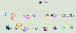 Size: 2824x1236 | Tagged: alicorn, artist:mlpshippingmagic, changedling, changeling, cometlight, comet tail, derpibooru import, emberspike, family tree, female, flurrax, king thorax, male, my little pony: the movie, night light, oc, oc:ace, oc:crystal, oc:radiant aura, oc:shining vision, oc:solar shine, offspring, parent:comet tail, parent:princess cadance, parent:princess ember, parents:cometlight, parents:emberspike, parent:shining armor, parent:spike, parents:shiningcadance, parent:twilight sparkle, pharynx, prince pharynx, princess cadance, princess ember, princess flurry heart, purified chrysalis, queen chrysalis, safe, shining armor, shiningcadance, shipping, spike, spike's family, straight, stratus skyranger, thorax, twilight sparkle, twilight sparkle (alicorn), twilight velvet