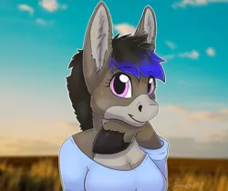 Size: 750x631 | Tagged: anthro, anthro oc, arm hooves, artist:crazywolfgirl, bust, cute, derpibooru import, donkey, field, hoof under chin, hooves, oc, oc:tara, safe, solo, sunset, unofficial characters only