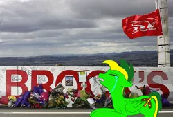 Size: 1024x694 | Tagged: artist:didgereethebrony, bathurst, crying, derpibooru import, flag, flower, holden, memorial, mount panorama, mourning, oc, oc:didgeree, peter brock, race track, safe, solo, tears of pain